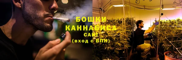 крисы Новодвинск