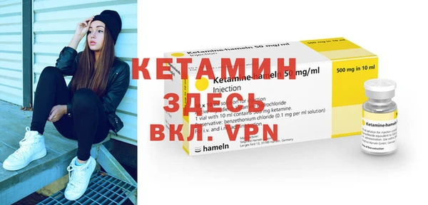 крисы Новодвинск