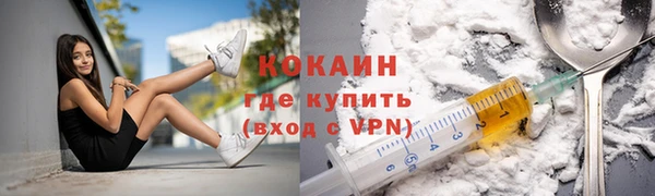 крисы Новодвинск
