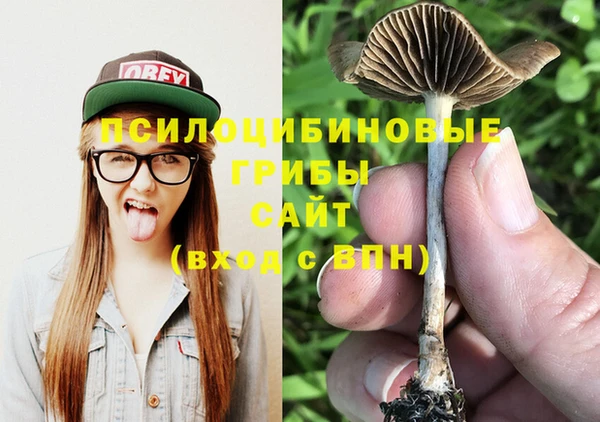 дживик Жердевка