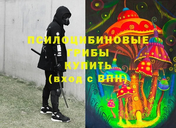 крисы Новодвинск