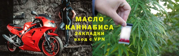крисы Новодвинск