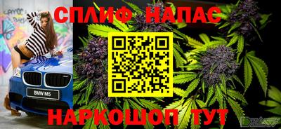 молекула духа Бийск