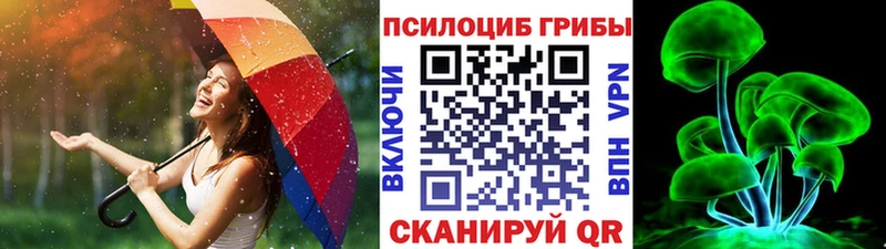 Галлюциногенные грибы Cubensis  как найти наркотики  Киреевск 