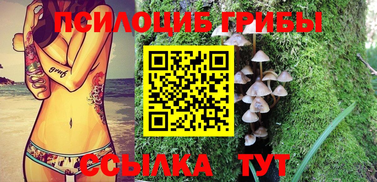 Галлюциногенные грибы мухоморы  Галлюциногенные грибы GOLDEN TEACHER  Киреевск  Вход с VPN 