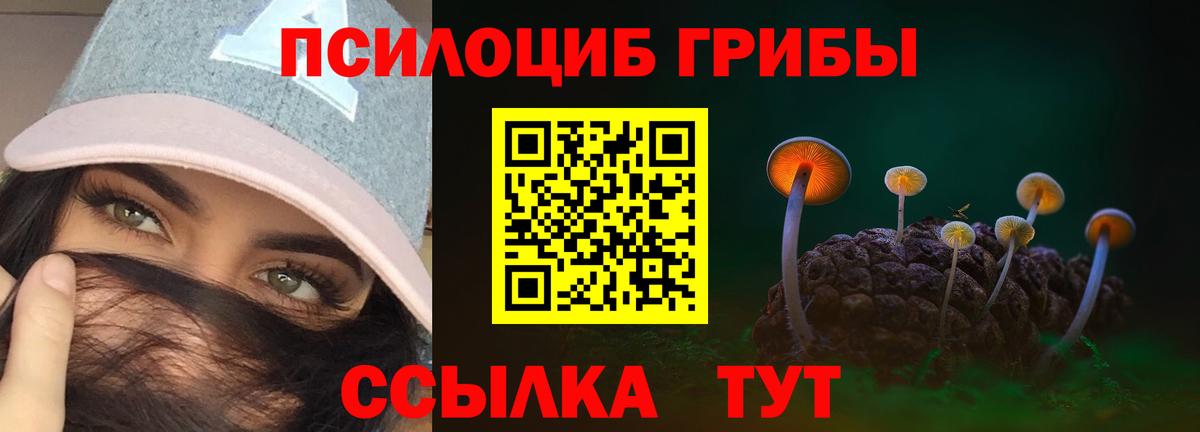 Галлюциногенные грибы ЛСД Киреевск